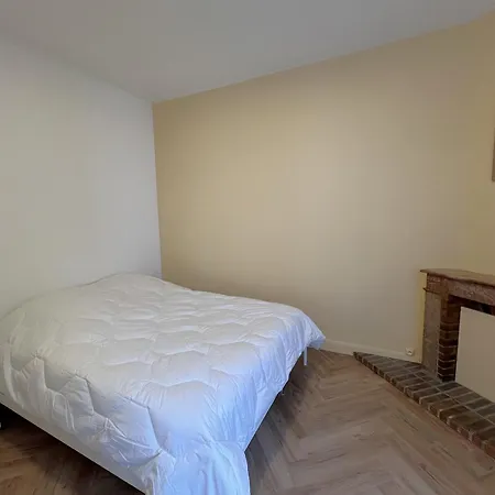 Maison Renovee Arcachon, Jardin & Climatisation - Fr-1-474-292 Villa *