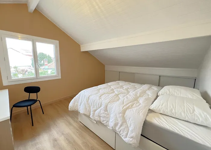 Maison Renovee Arcachon, Jardin & Climatisation - Fr-1-474-292 *